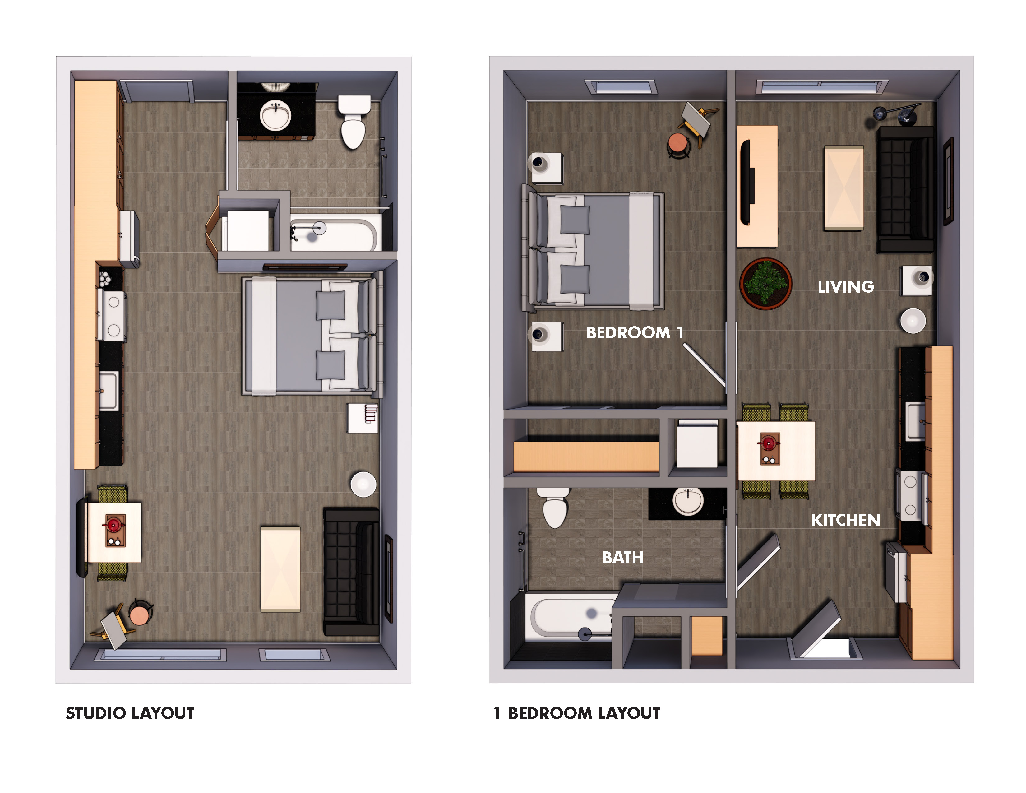 Efficiency/1 Bedroom layout